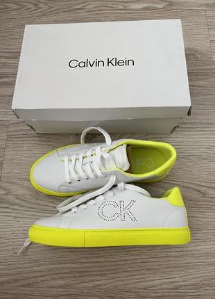 Кеди calvin klein