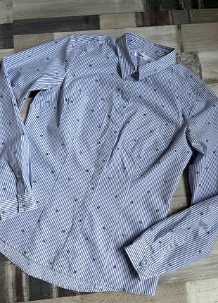 Рубашка блуза в лінію sinsay