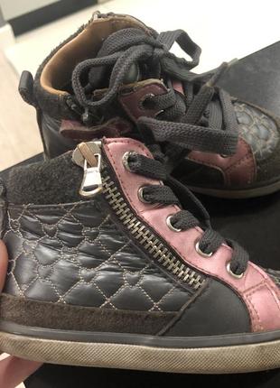 Ботинки кеды geox p.22 кожа