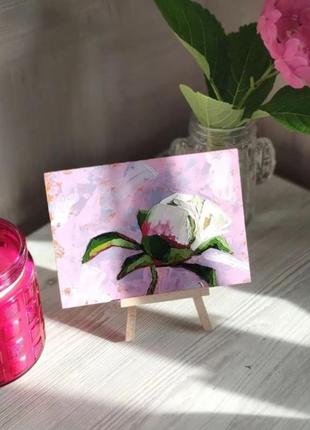 Картина маленький пион цветок розовая