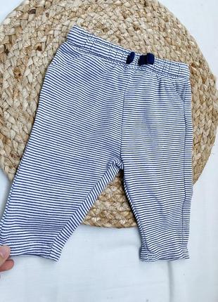 Ползунки штанишки на малыша