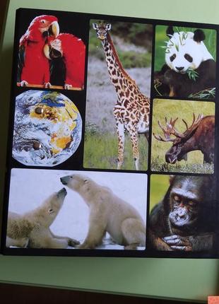 Энциклопедия о животных "в мире дикой природы"