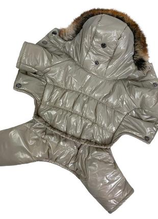Одежда для собак зимний комбинезон на синтепоне, унисекс4 фото