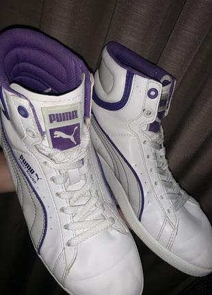 Кроссовки puma2 фото