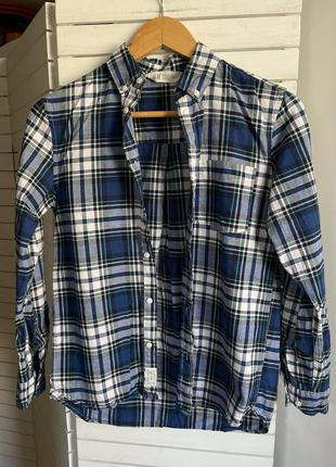 Сорочка в клітинку h&m