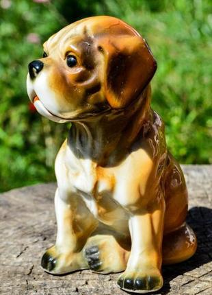 Скульптура собака,собачка,щеня! germany! рідкісна!6 фото