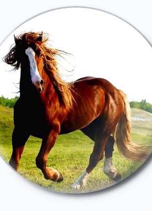 Значок конь (лошади)1 фото