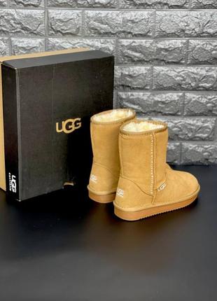 Ugg женские угги рыжого цвета натуральная замша размеры 36-418 фото