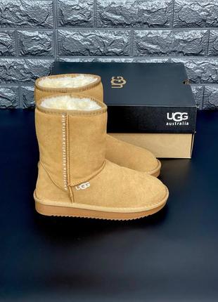 Ugg жіночі уггі рижого кольору натуральна замша розміри 36-419 фото