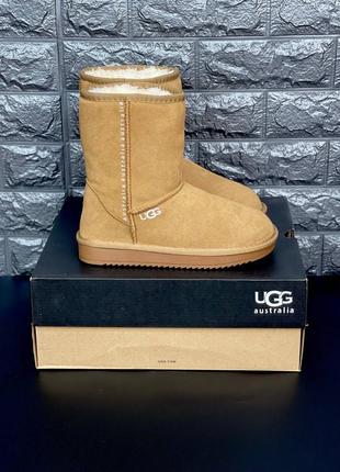 Ugg жіночі уггі рижого кольору натуральна замша розміри 36-417 фото