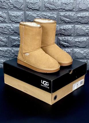 Ugg жіночі уггі рижого кольору натуральна замша розміри 36-415 фото