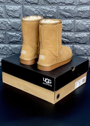 Ugg женские угги рыжого цвета натуральная замша размеры 36-413 фото