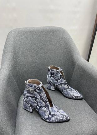 Шкіряні ботильйони чорно-біла змія