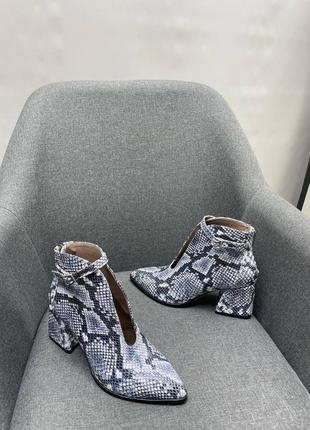 Шкіряні ботильйони чорно-біла змія