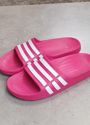 Тапочки adidas шльопанці3 фото