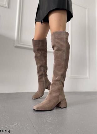 Замшеві високі чоботи ботфорти на підборах з натуральної замші