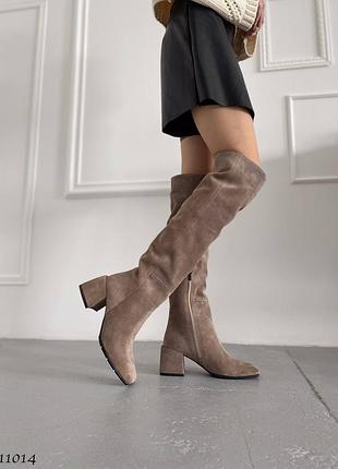 Замшеві високі чоботи ботфорти на підборах з натуральної замші