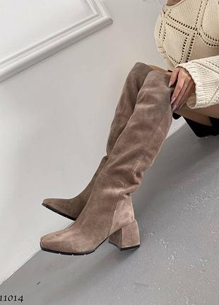 Замшеві високі чоботи ботфорти на підборах з натуральної замші