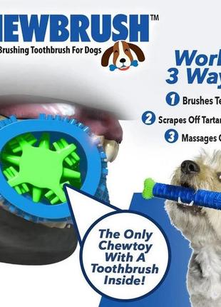 Комплект: зубная щетка для собак chewbrush + перчатки для чистки животных fi-188 pet gloves6 фото