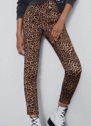 Брюки zara xs