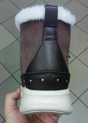 Новые теплые женские ботинки кроссовки skechers synergy5 фото
