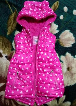 Жилет жилетка