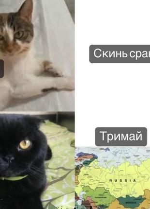 Подовжений светр 42-52 р.🕯📷🏮 10