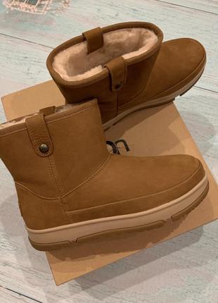 Зимние ботинки ugg р. us8/uk6,5/eu39,5