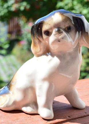 Скульптура собака,собачка,щенок! пекинес! редкая!1 фото