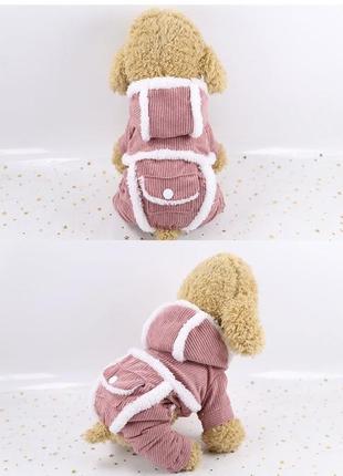 Одежда для собаки. зимний комбинезон2 фото