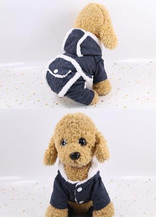Одежда для собаки. зимний комбинезон3 фото
