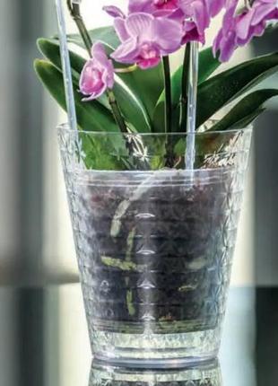 Вазон для орхидей diamond 13 см прозрачный светло-розовый2 фото