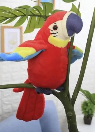Говорящий попугай повторюшка parrot talking