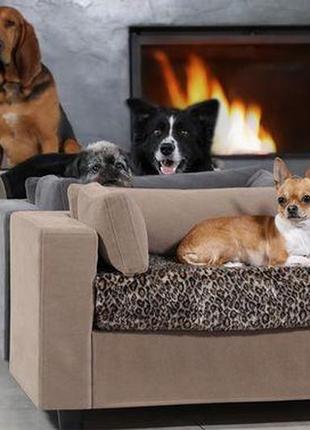 Диваны для собак на заказ, диваны для собак под заказ , мебель для животных под заказ3 фото