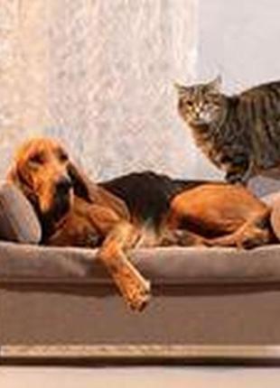 Дивани для собак на замовлення, дивани для собак під замовлення, меблі для тварин під замовлення3 фото
