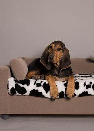 Диваны для собак на заказ, диваны для собак под заказ , мебель для животных под заказ1 фото