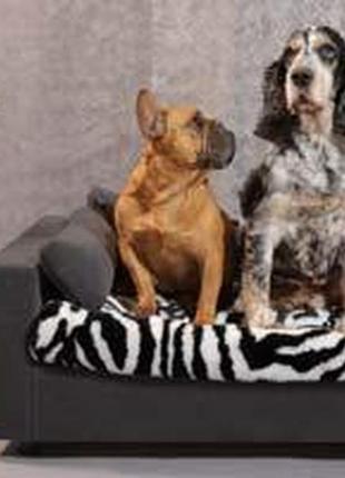 Диваны для собак на заказ, диваны для собак под заказ , мебель для животных под заказ9 фото
