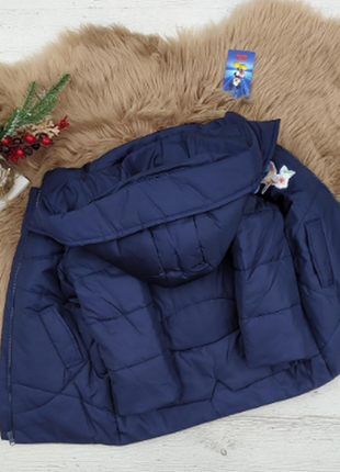 Дитяча зимова курточка плещовка на синтепоні 200 колібрі синя унісекс куртка тепла легка зручна