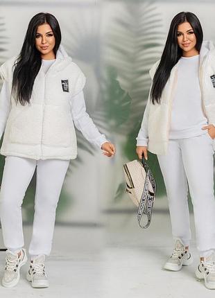 Костюм худи рукав и них манжет жилет на молнии с капюшоном карманы кенгуру синтепон 150 штаны на резинке карманы манжеты ткань трехнить мех тэдди