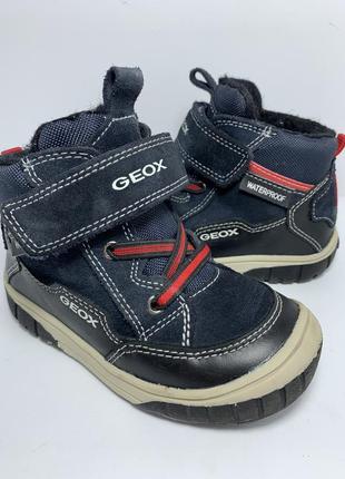 Ботинки кожаные geox waterproof1 фото