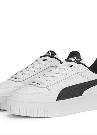 Puma carina