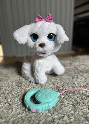 Собачка на повідку furreal, танцююча собака