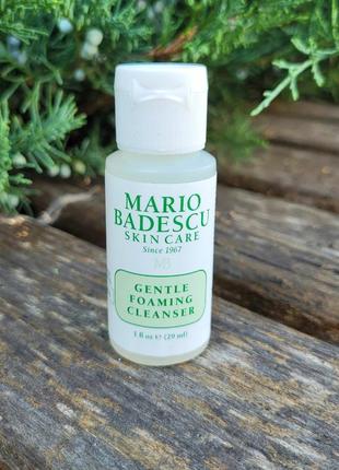 Пінка для вмивання mario badescu