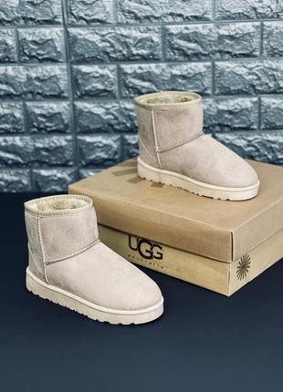 Уггі ugg australia жіночі стильні угг ніжні високі теплі уггі