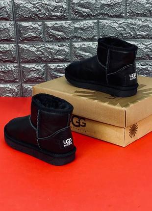 Уггі жіночі натуральна шкіра ugg australia на хутрі угг стильні та універсальні