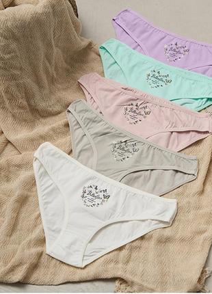 Жіночі трусики сліпи бавовняні 13793 - 5 шт.