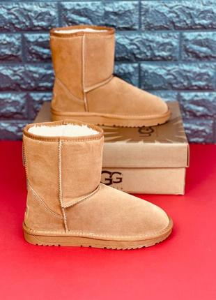 Уггі ugg australia жіночі натуральна шкіра хутро черевики угг стильні високі уггі5 фото