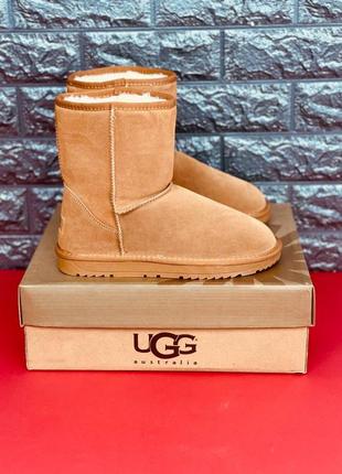 Уггі ugg australia жіночі натуральна шкіра хутро черевики угг стильні високі уггі7 фото