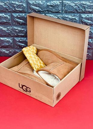 Уггі ugg australia жіночі натуральна шкіра хутро черевики угг стильні високі уггі8 фото