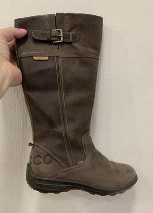 Сапоги  ecco gore-tex розмір 36 в ідеальному стані